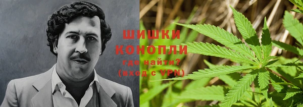 тгк Бородино