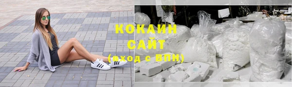 тгк Бородино