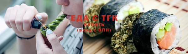 тгк Бородино