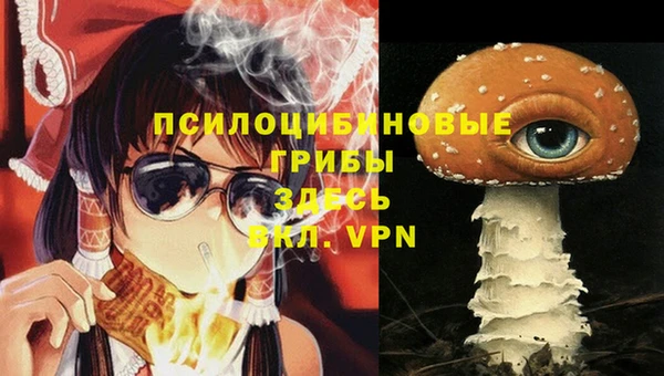 тгк Бородино