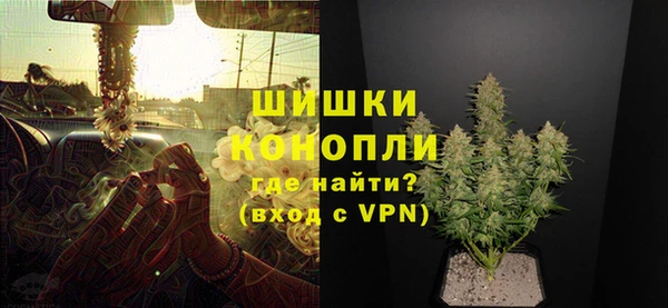 тгк Бородино