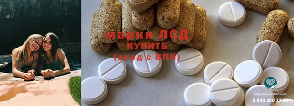 тгк Бородино