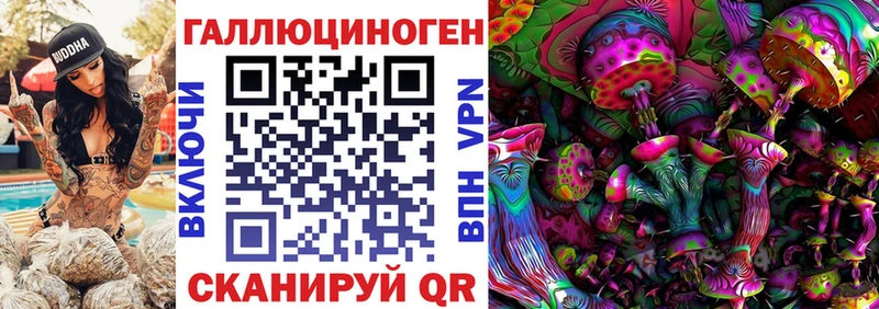 Псилоцибиновые грибы Cubensis  Купить  Лыткарино 
